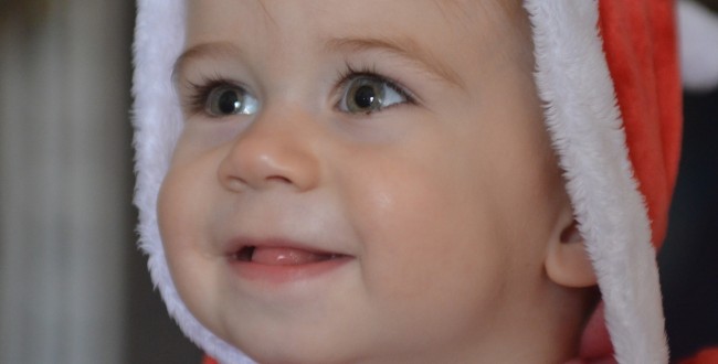 cute-654029_1920
